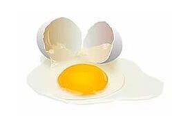 яйце и серум за подмладяване